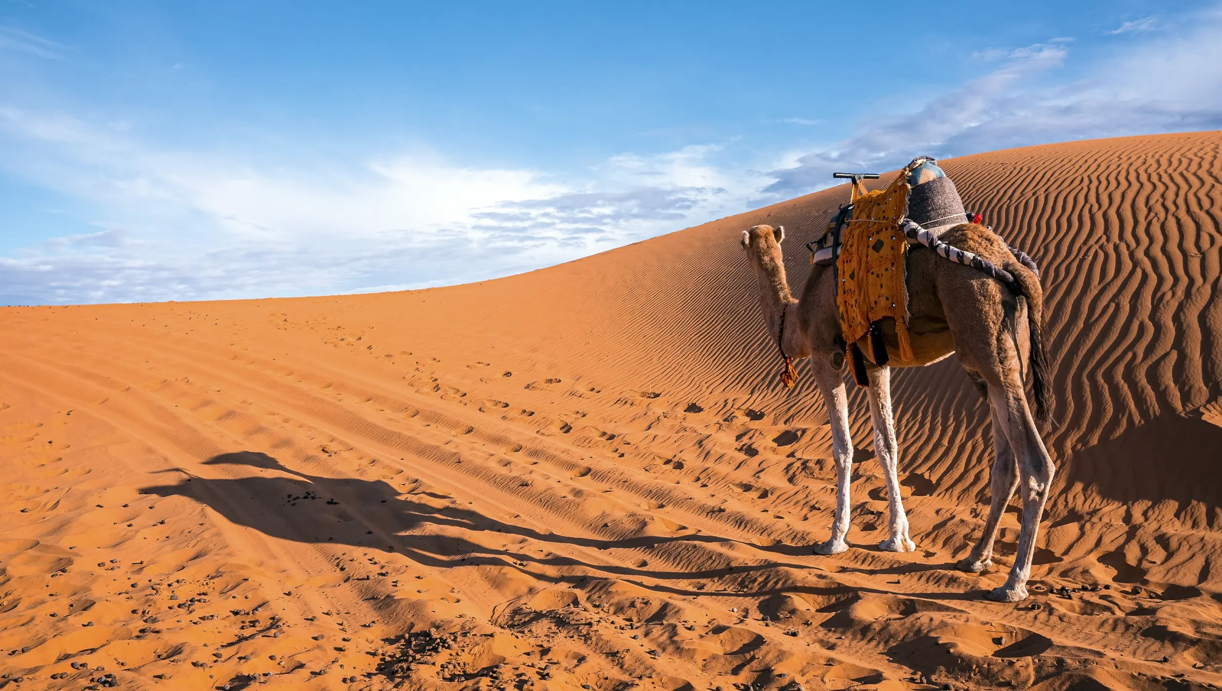 Filming permits Tunisia: CNCI dossier and clearances for a foreign film production
